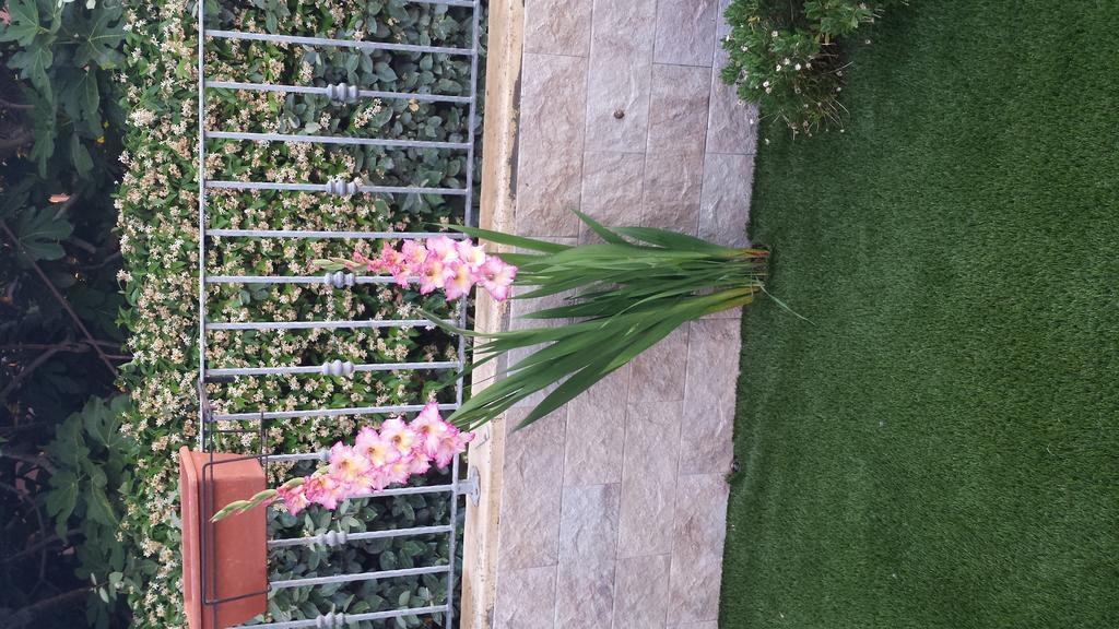 Casa Con Giardino Villa Olbia Eksteriør bilde
